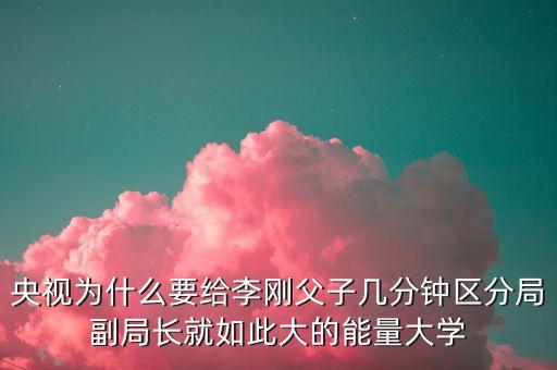 副局長妄議中央說了什么，央視為什么要給李剛父子幾分鐘區(qū)分局副局長就如此大的能量大學(xué)