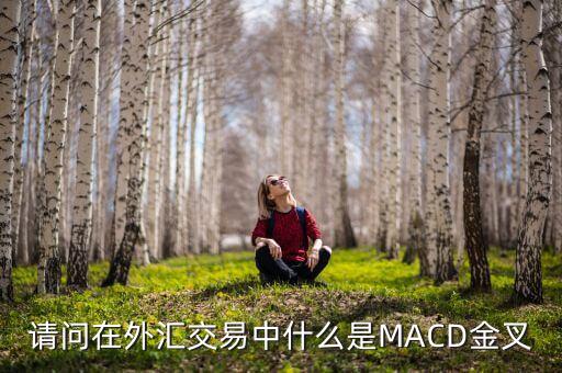 請問在外匯交易中什么是MACD金叉