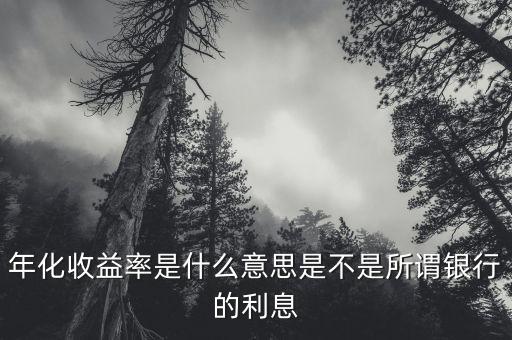 年化收益率是什么意思是不是所謂銀行的利息