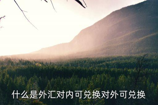 什么是外匯對(duì)內(nèi)可兌換對(duì)外可兌換