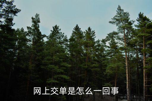 什么叫電子交單，網(wǎng)上交單是怎么一回事