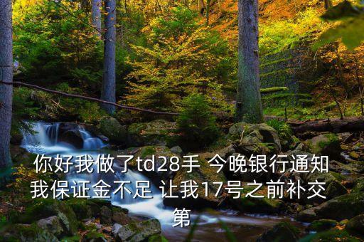 你好我做了td28手 今晚銀行通知我保證金不足 讓我17號(hào)之前補(bǔ)交 第