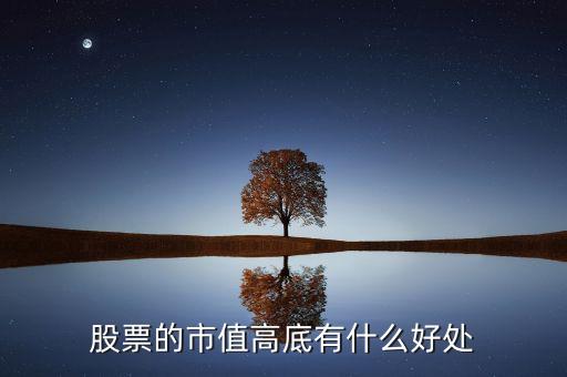 市值高說明什么，假如某上市公司市值超過一千億元人民幣但一年收入幾十億人民幣