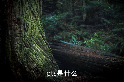 pts是什么