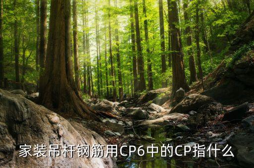 家裝吊桿鋼筋用CP6中的CP指什么