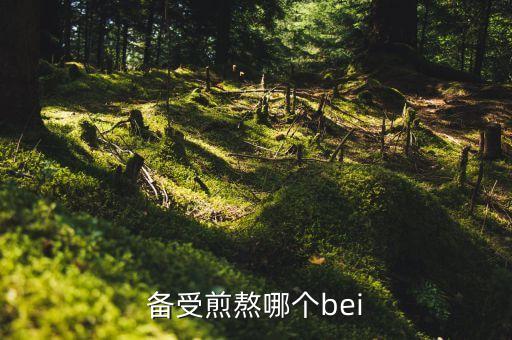 備受煎熬哪個bei