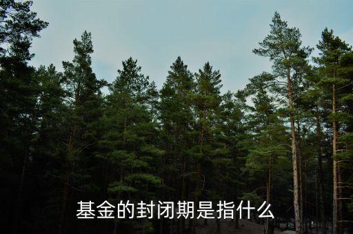 基金封閉期什么意思，基金的封閉期是什么意思