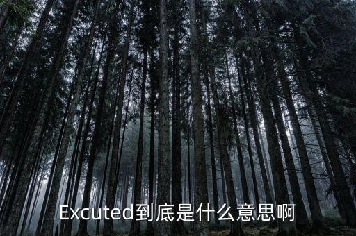 Excuted到底是什么意思啊