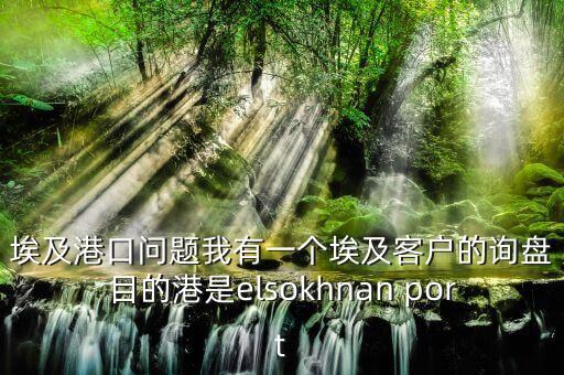 埃及港口問題我有一個(gè)埃及客戶的詢盤目的港是elsokhnan port