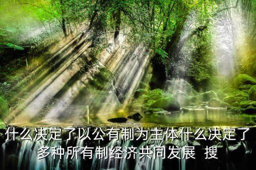 什么決定了以公有制為主體什么決定了多種所有制經(jīng)濟(jì)共同發(fā)展  搜