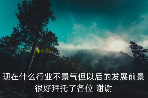 現(xiàn)在什么行業(yè)不景氣但以后的發(fā)展前景很好拜托了各位 謝謝