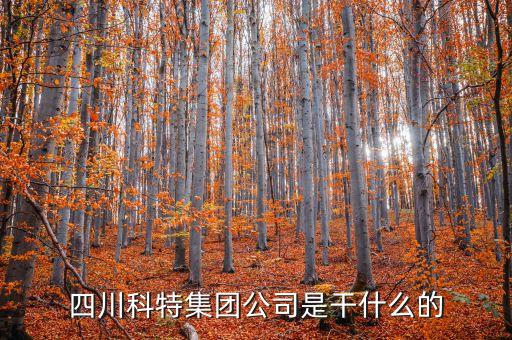 四川科特集團(tuán)公司是干什么的