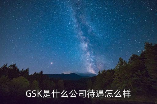 gsk公司的價(jià)值觀是什么，GSK是什么意思