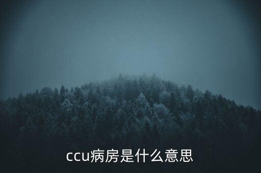 總部ccu在零售業(yè)是什么意思，外貿(mào)中CCU是什么