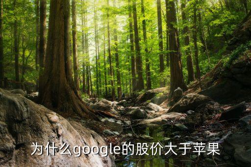 為什么google股票比apple貴，為什么微軟的股價(jià)比硅谷其他巨頭比如蘋(píng)果Google低那么多