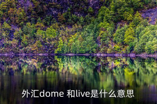 外匯dome 和live是什么意思