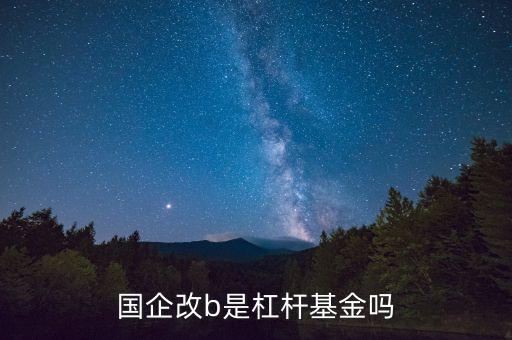 國企改b是什么基金，在股票交易系統(tǒng)入了國企改B 好像說是封閉式基金請問能T1操作