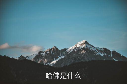 哈佛是什么