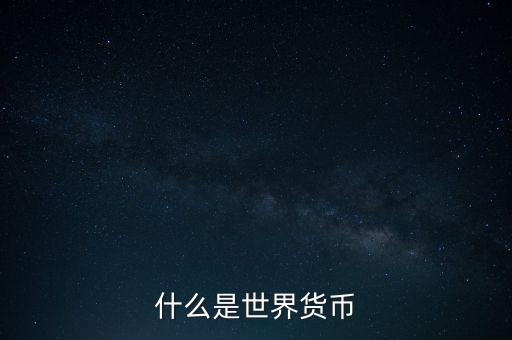 什么是世界貨幣