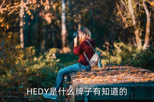 HEDY是什么牌子有知道的