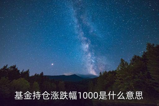 基金持倉漲跌幅1000是什么意思