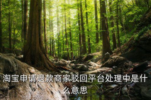 淘寶申請退款商家駁回平臺處理中是什么意思