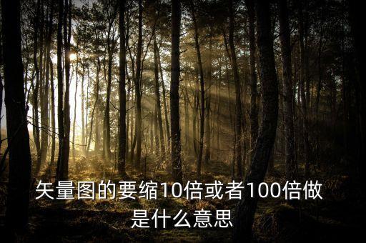 矢量圖的要縮10倍或者100倍做 是什么意思