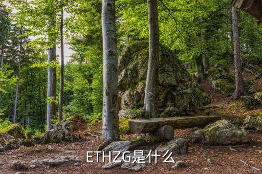 ETHZG是什么