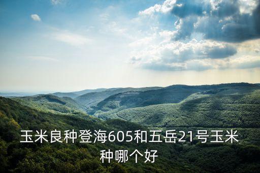 玉米良種登海605和五岳21號(hào)玉米種哪個(gè)好