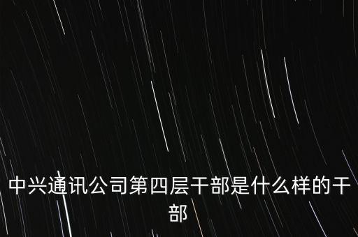 中興通訊公司第四層干部是什么樣的干部