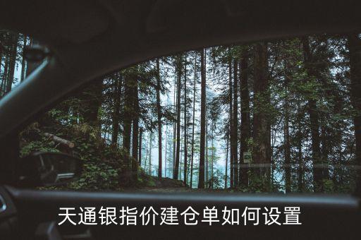 天通銀指價建倉單如何設(shè)置