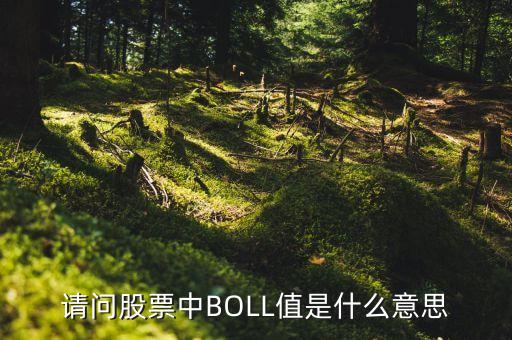 請問股票中BOLL值是什么意思