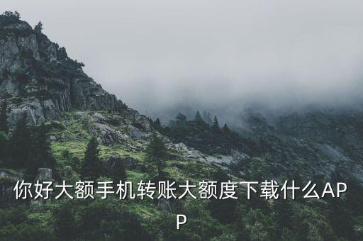 你好大額手機轉(zhuǎn)賬大額度下載什么APP