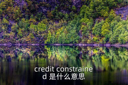 credit constrained 是什么意思