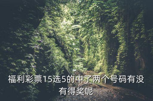 福利彩票15選5的中了兩個號碼有沒有得獎呢