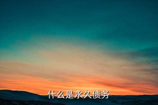 什么是永久債務(wù)