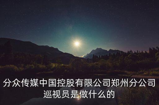 分眾傳媒中國控股有限公司鄭州分公司巡視員是做什么的