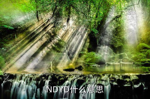 NDYD什么意思