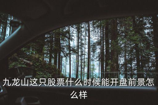 九龍山這只股票什么時候能開盤前景怎么樣