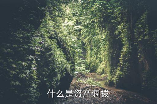 什么是資產(chǎn)調(diào)撥