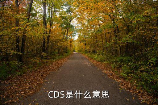 CDS是什么意思