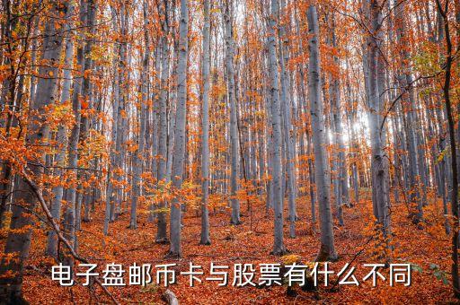 電子盤和股票什么區(qū)別，電子盤郵幣卡與股票有什么不同