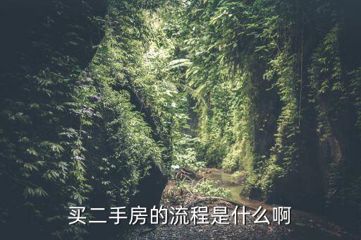 買(mǎi)二手房的流程是什么啊