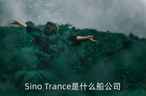 sino是什么船公司，英語船公司傳出正式的SO是什么