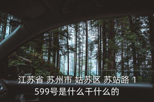 江蘇省 蘇州市 姑蘇區(qū) 蘇站路 1599號是什么干什么的