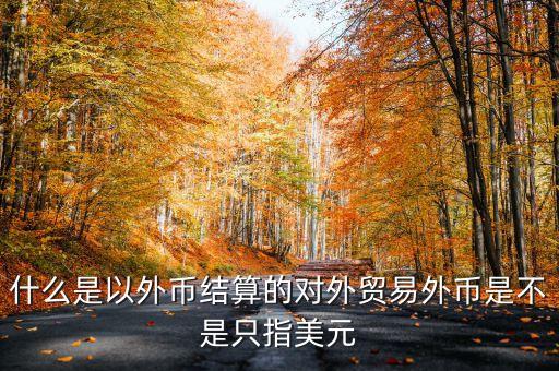 什么是以外幣結(jié)算的對外貿(mào)易外幣是不是只指美元