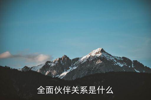 全面伙伴關(guān)系是什么