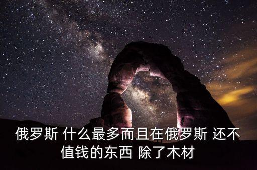 俄羅斯 什么最多而且在俄羅斯 還不值錢的東西 除了木材