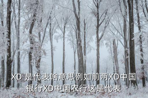 農(nóng)行中證代表什么，XD 是代表啥意思例如前兩XD中國(guó)銀行XD中國(guó)農(nóng)行這是代表