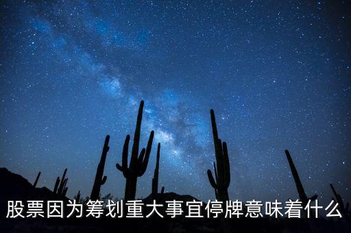 股票因?yàn)榛I劃重大事宜停牌意味著什么